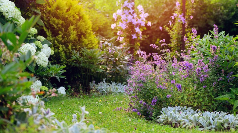 A cottage garden is full of whimsical flowers.