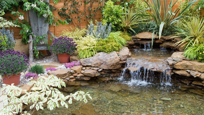 Leafy plants surround a small garden pond with a waterfall