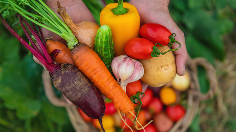 Hands holding brightly colored veggies, including carrots, garlic, and tomatoes