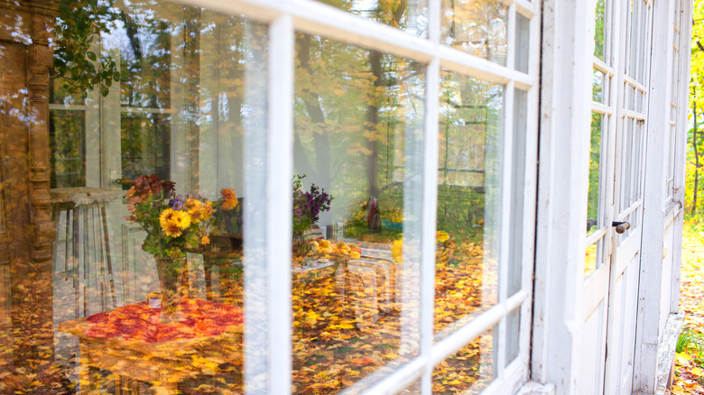 Fall foliage shows in the reflection of a home's windows