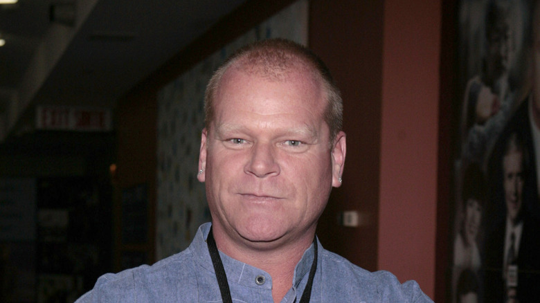 The Fancy Kitchen Feature Mike Holmes Says Is Worth The Money
