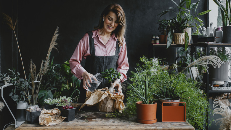 woman working with many plants