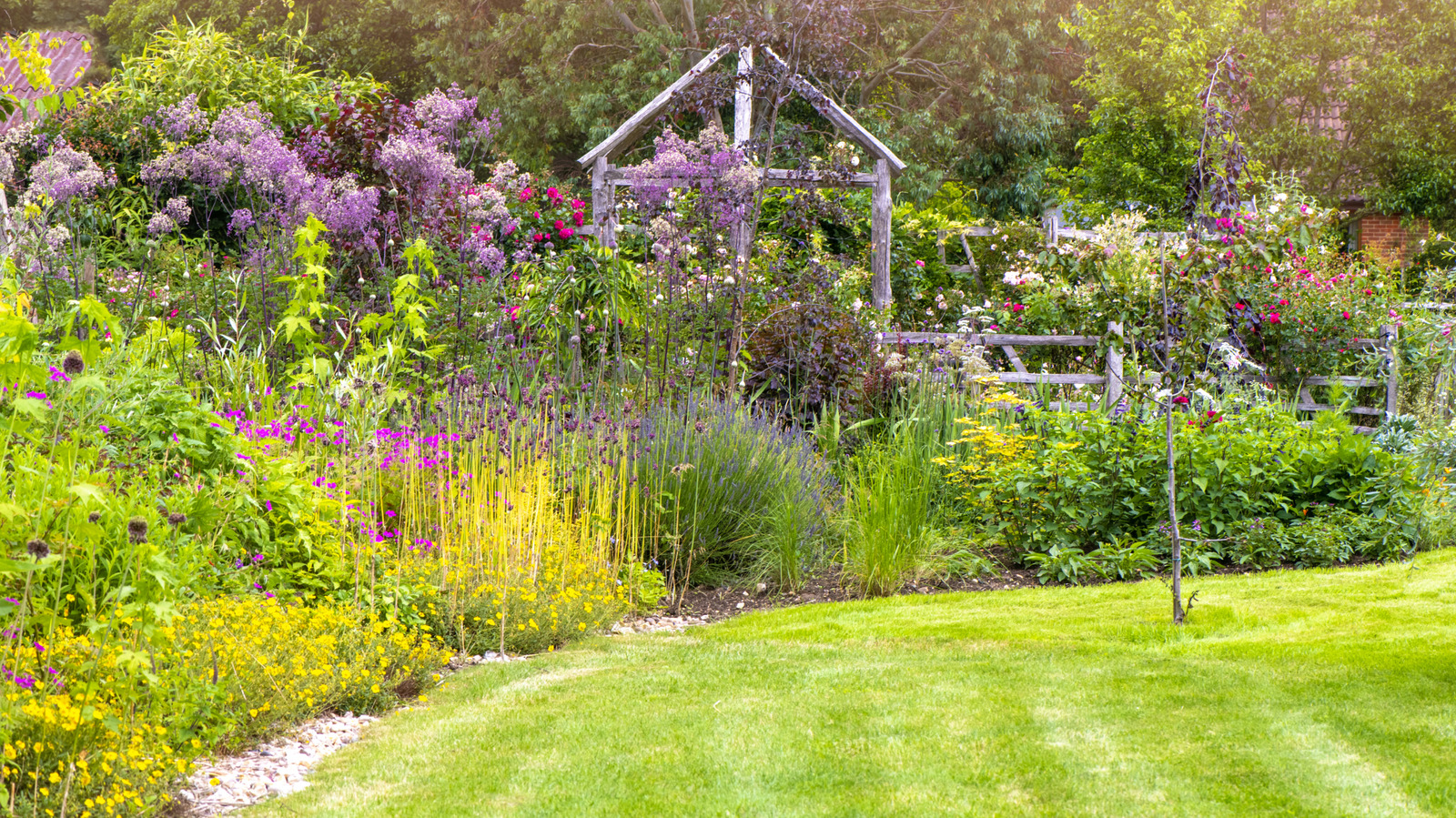 The Rapid-Blooming Flower to Plant in Early Spring for Lasting Vibrance