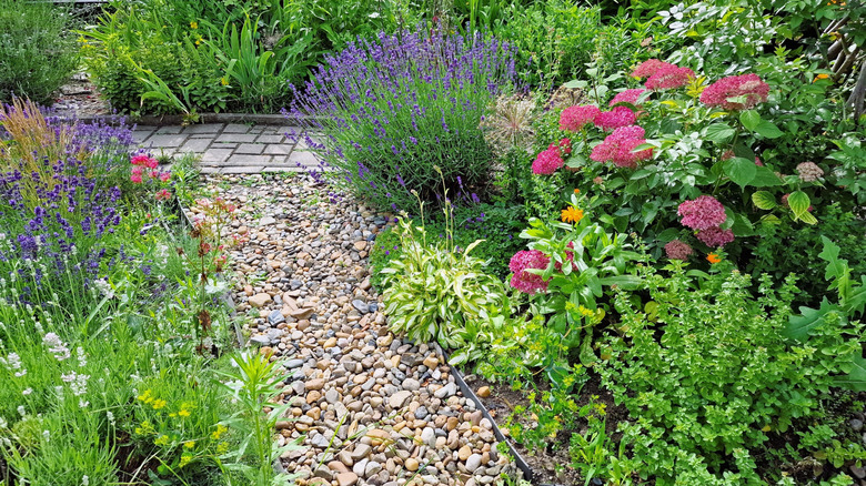 A pretty garden filled with flowers and herbs