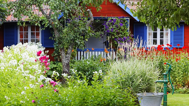 Flowering shrubs, grasses, and a tree in front of a red, white, and blue house
