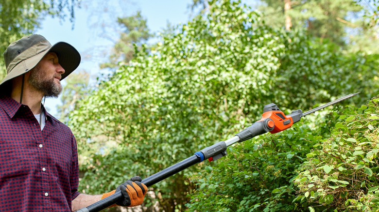 A gardener trimming hedge plants in a private backyard