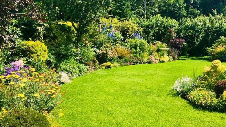 A vibrant garden grows with flower borders, lush shrubs and a neatly mowed lawn.