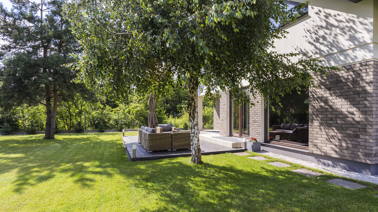 a backyard shaded by trees