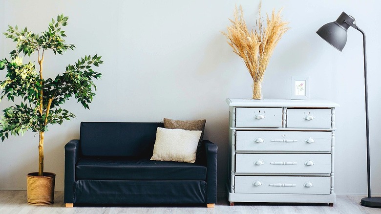Sofa, plant and dresser