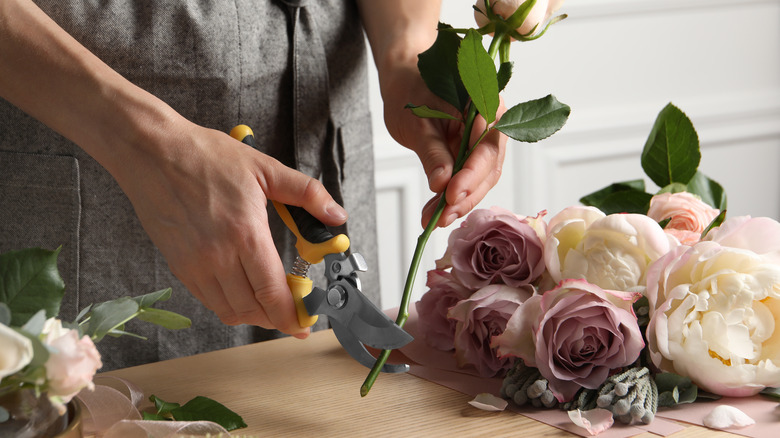 person cutting flowers