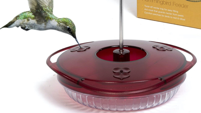 An official product image of the Jacobi Jayne Sweet Spot Hummingbird feeder, a dish-style bird feeder intended to help better preserve the nectar.
