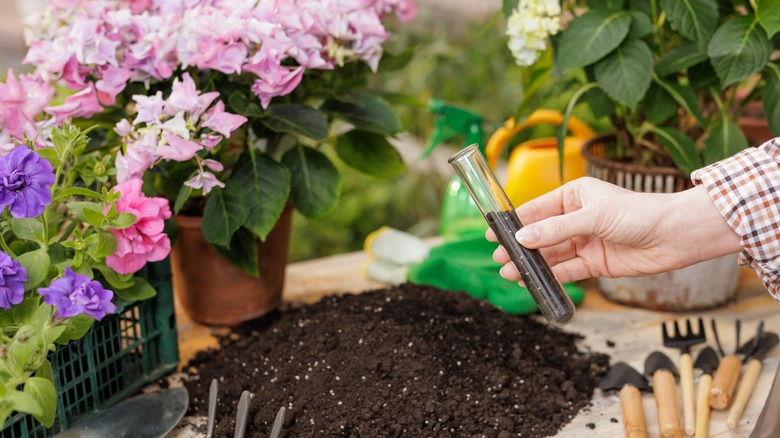 A person taking soil sample from the garden for testing.