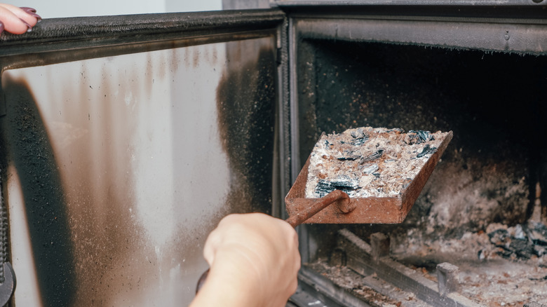 Wood ashes are being pulled out of a traditional glass-mounted fireplace.