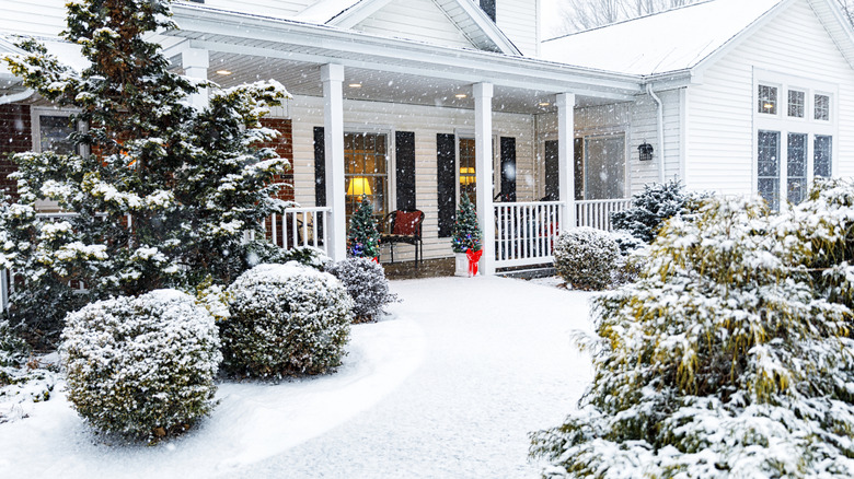 A white house with snow covering the walkway and shrubs.