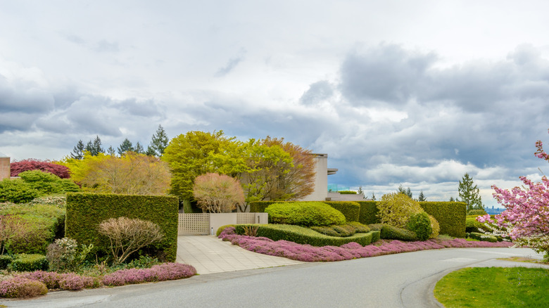 A driveway with a colorful floral border.