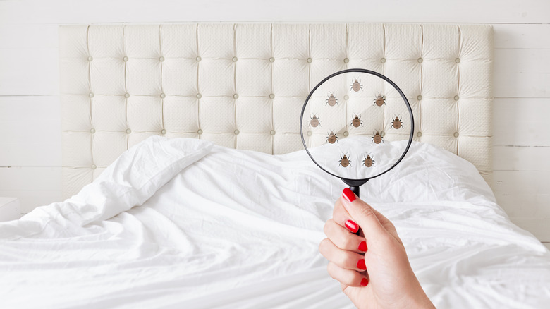 Hand holding magnifying glass