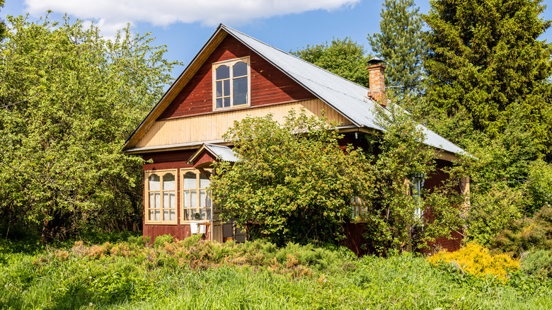 Red house with overgrown yard and trees