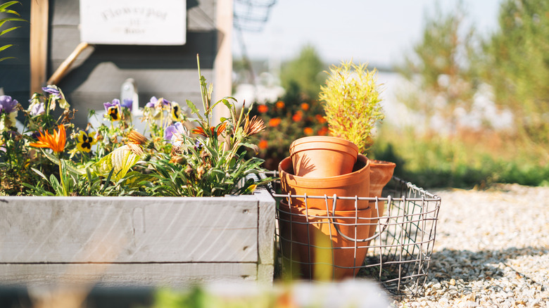 Wooden box with flowers, details of garden decor in the backyard of house