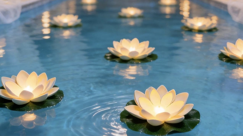Lotus flower lights in a small pool