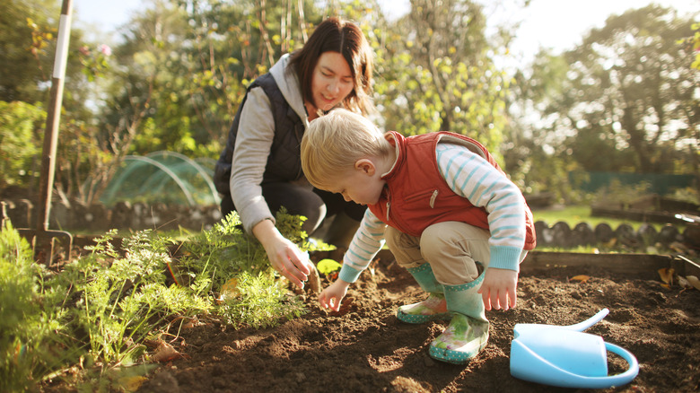 family planting seeds in garden in cooler weather