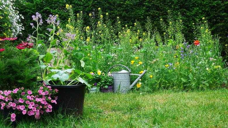 Beautiful spring garden with different flowers