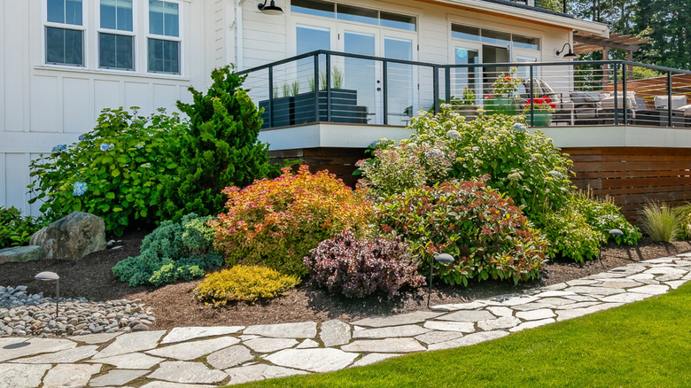 Landscaped shrubs in front of house