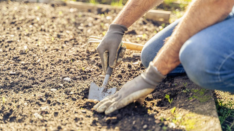 Person digging up soil in a flower bed or garden