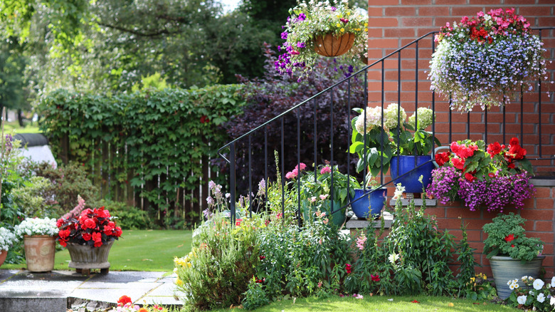 Outside porch steps with a variety of flowers and plants in containers, planted in beds and in hanging baskets