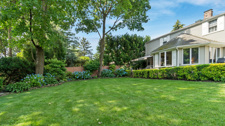A white house with a lush backyard
