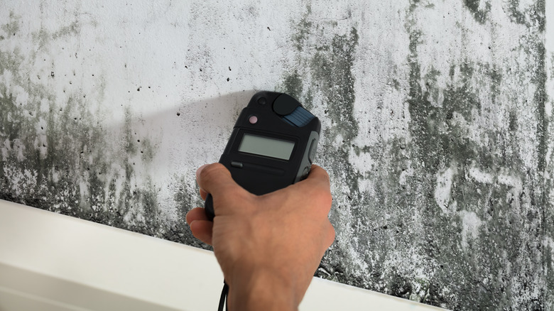 person testing moisture on wall