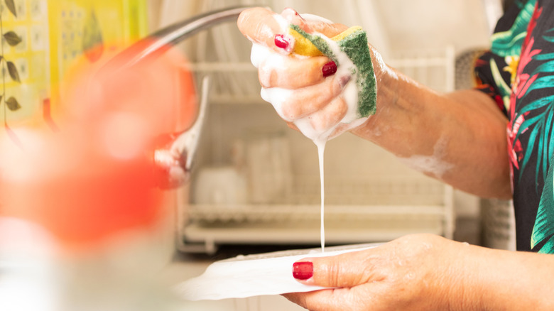 Woman handwashing dishes
