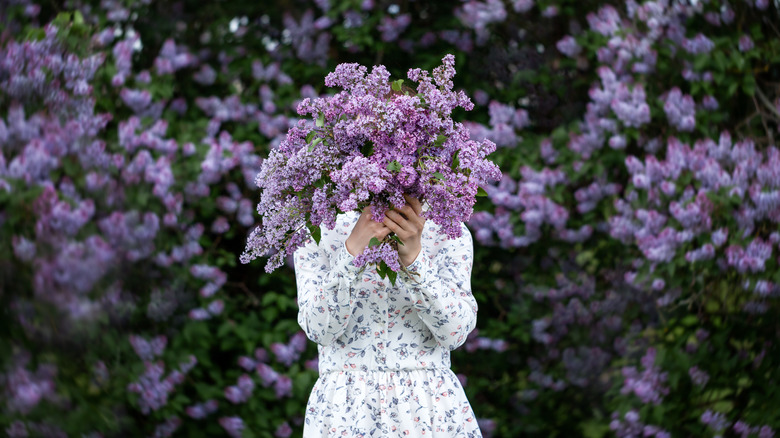 woman holding a bouquet of lilacs in a garden