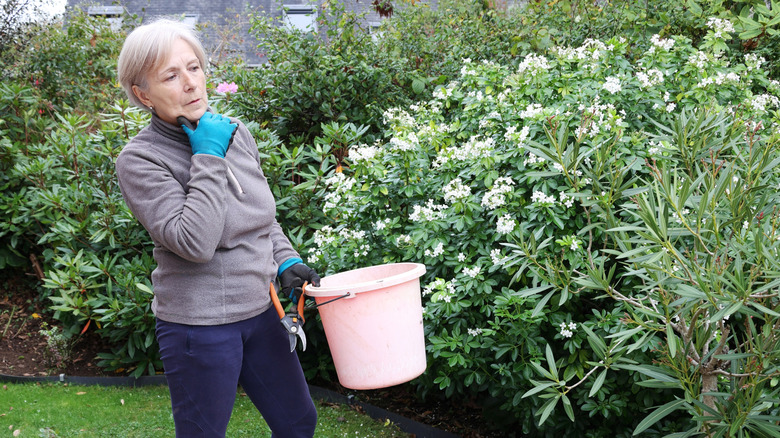 Woman preparing to prune shrubs in her garden.