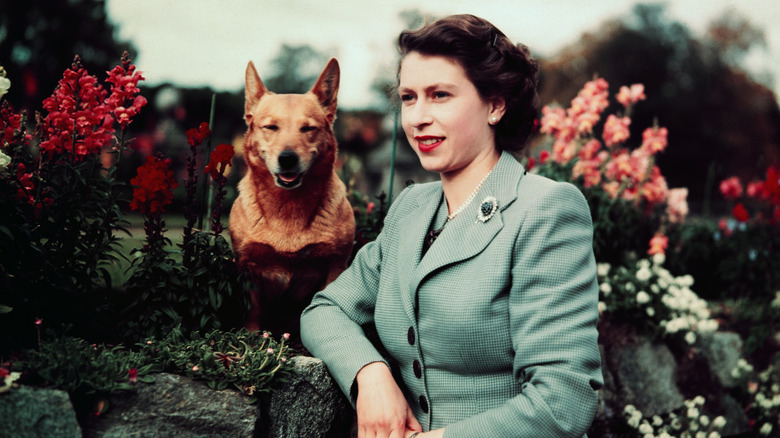 A young Queen Elizabeth with her corgi in the garden