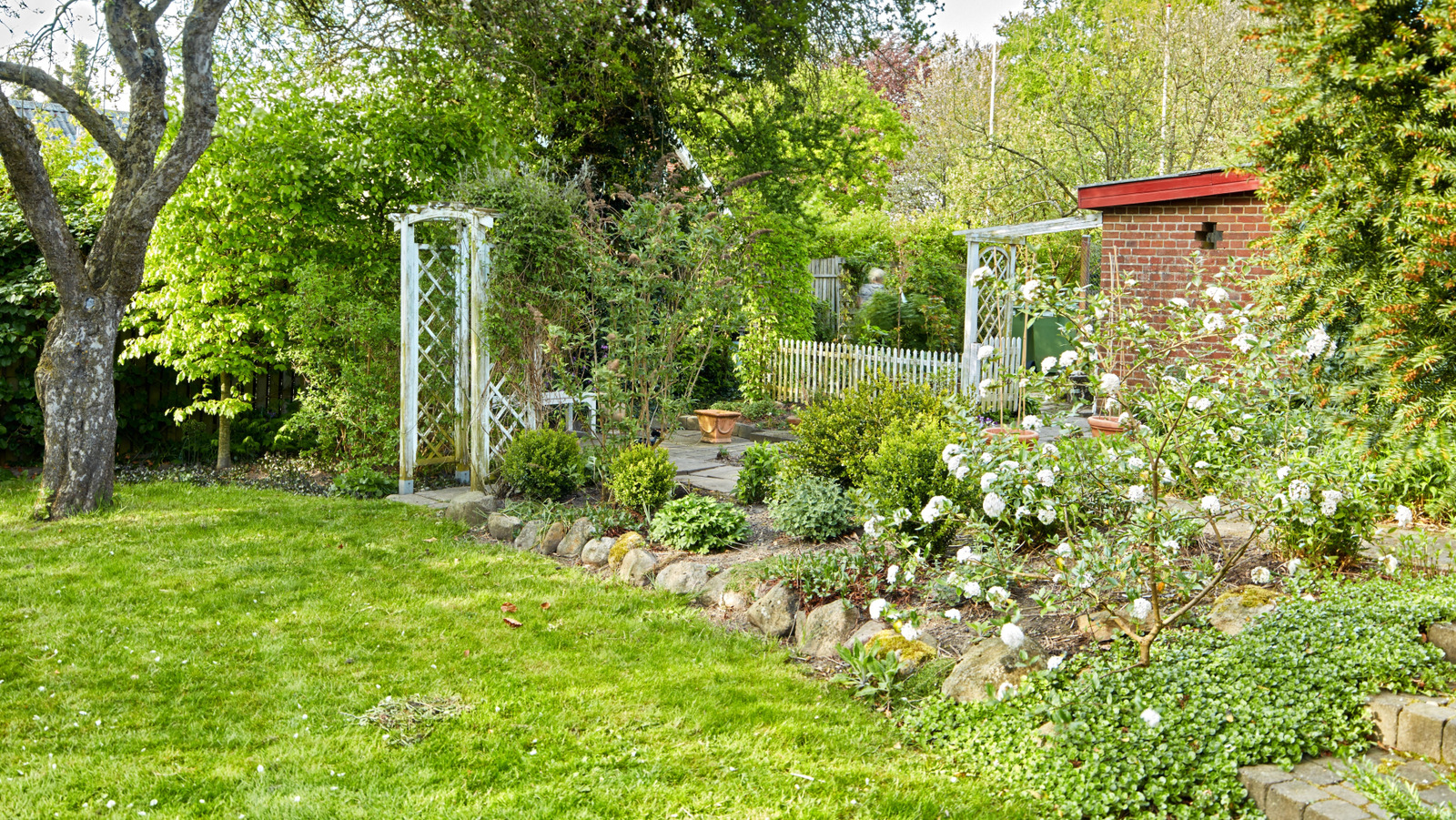 The Scented Shrub with Soft White Blooms to Enhance Your Spring Garden The Scented Shrub with Soft White Blooms to Enhance Your Spring Garden