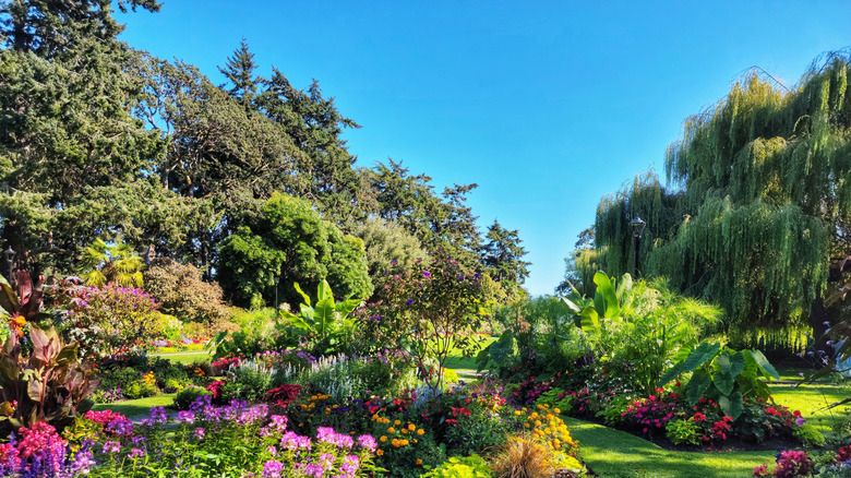 A sunny garden with colorful flowers and a variety of trees