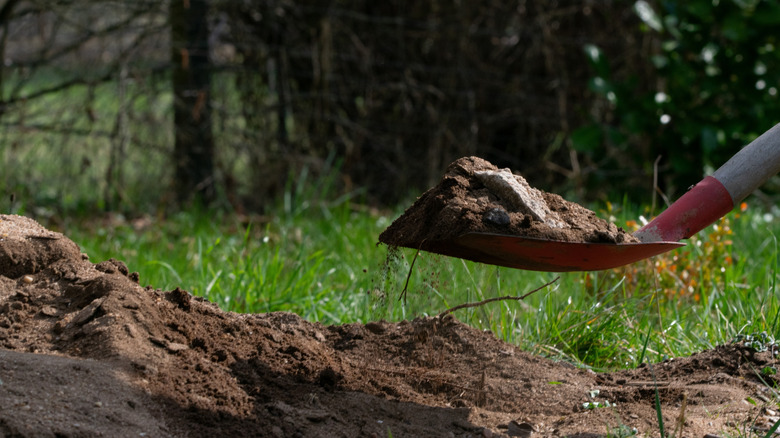 Person creating a mounded garden bed in their yard with a shovel
