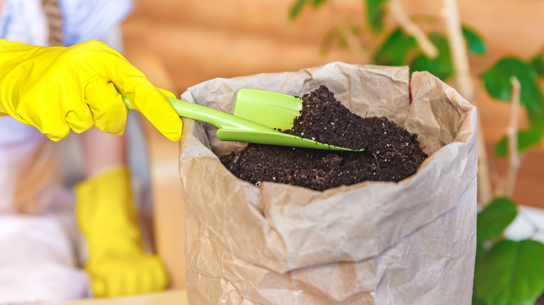 Hands wearing yellow gloves shovel old soil into a paper bag to be donated.