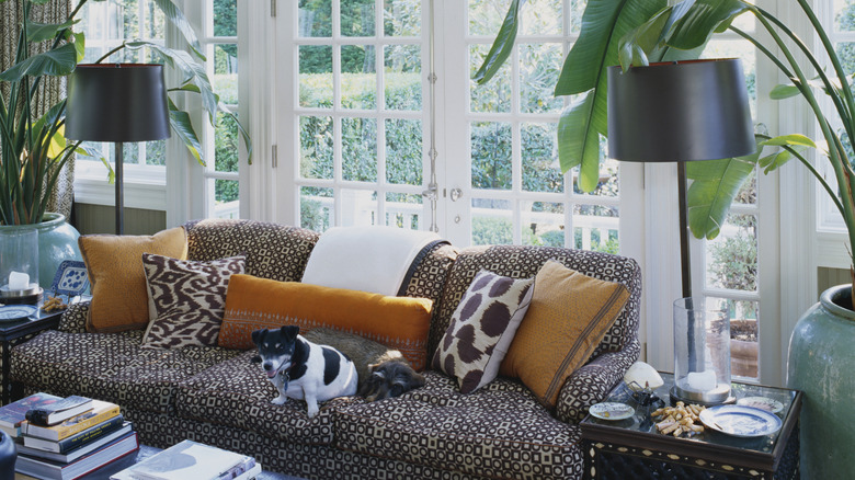 A patterned couch decked with throw pillows in animal prints