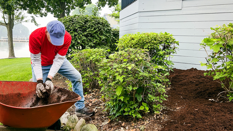 man working in his yard