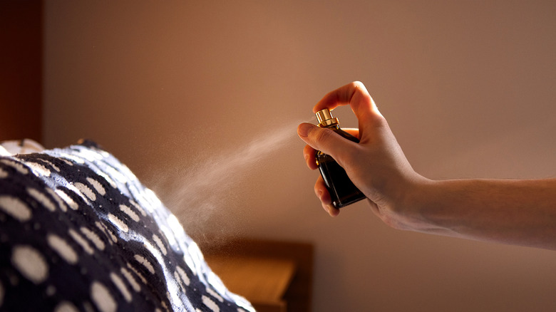 Person spraying air freshener