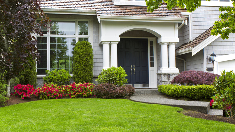 Front yard of modern home during late spring