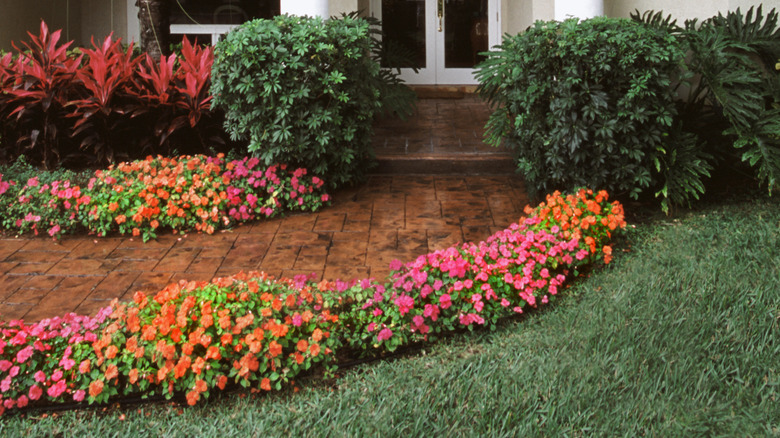 A front door with a brick walkway with bright and colorful flowers on either side.