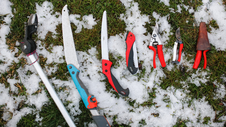 A variety of pruning tools for winter laying on the grass and snow