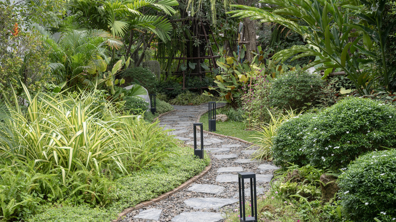 A pathway runs through a tropical garden.