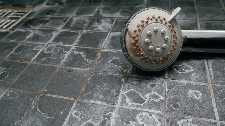 soap scum tiles in shower
