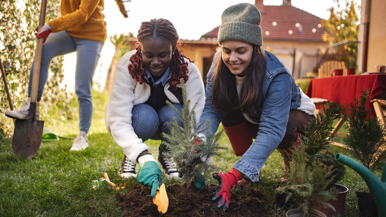 women planting in the fall