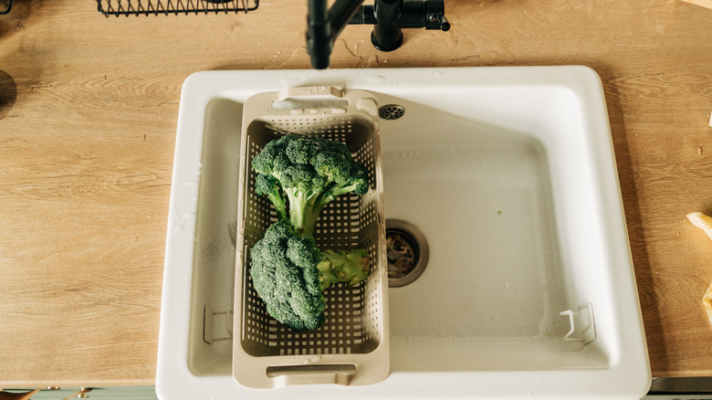 Expandable sink colander above kitchen sink with broccoli
