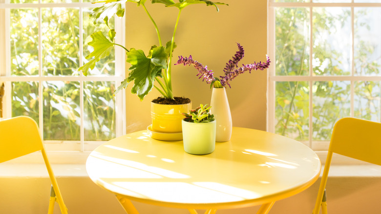 A yellow table and folding chairs in a bright room with plants and purple flowers on it.