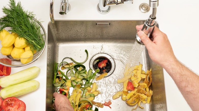 kitchen sink with disposal